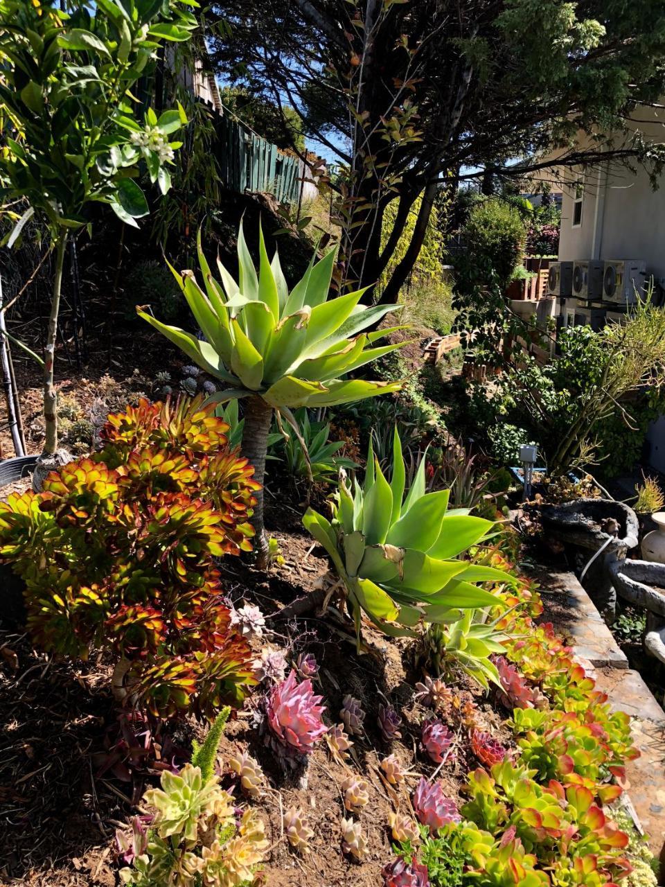 Inn At Moonlight Beach Encinitas Exterior photo